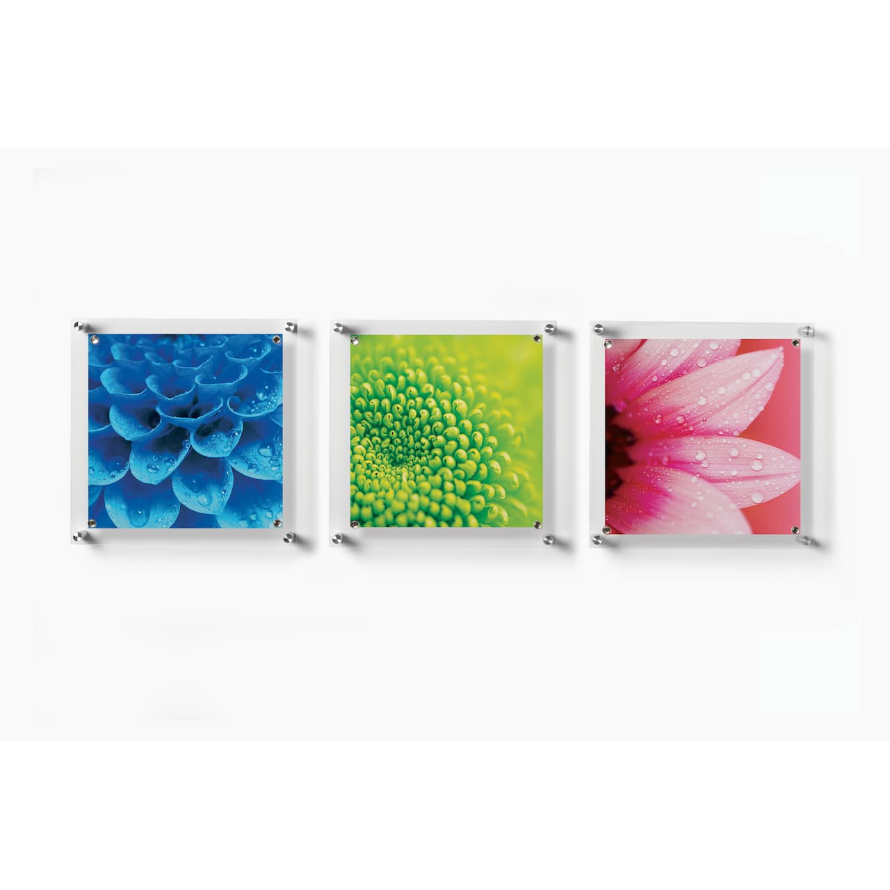 Wexel Art 3 Pack 12" x 12" Clear Single Panel Acrylic Floating Wall Frames & Magnets